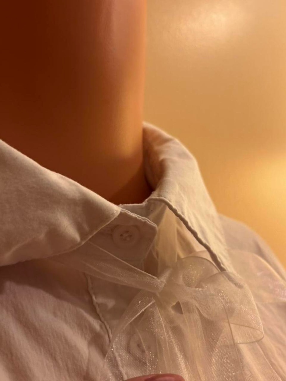 J Brand White Short-Sleeve Button Down Blouse with Sheer Neck Tie - Picture 3 of 7